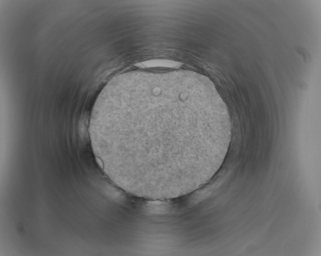 X0000112770240200910011243