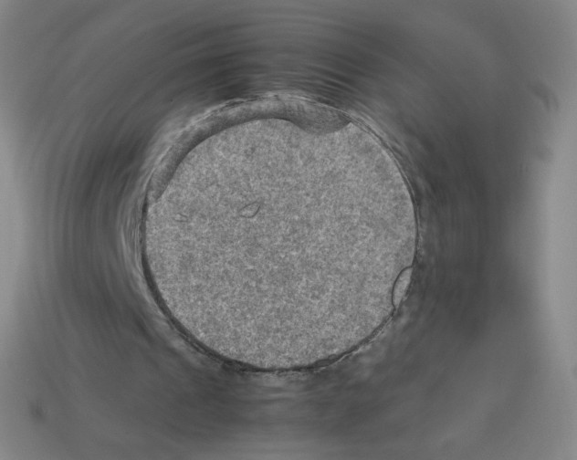 X0000112770241200910011242