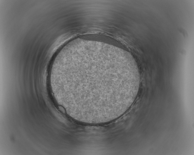 X0000112770242200910011242