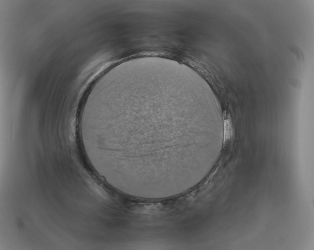 X0000112770243200910011242