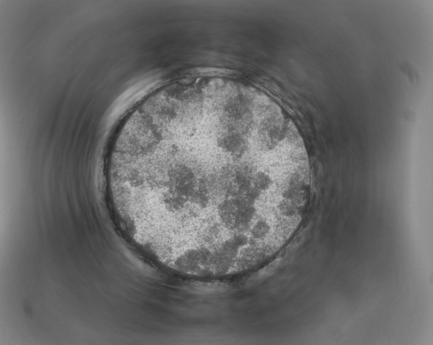 X0000112770245200910011242