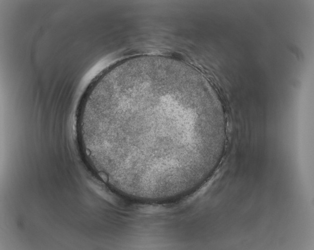 X0000112770246200910011242