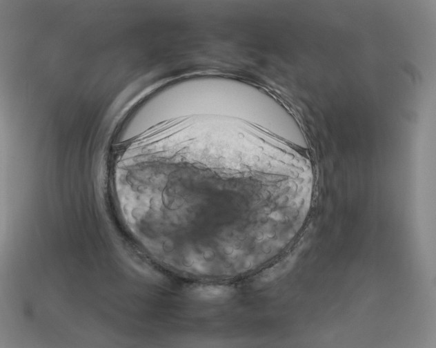 X0000112770247200910011242