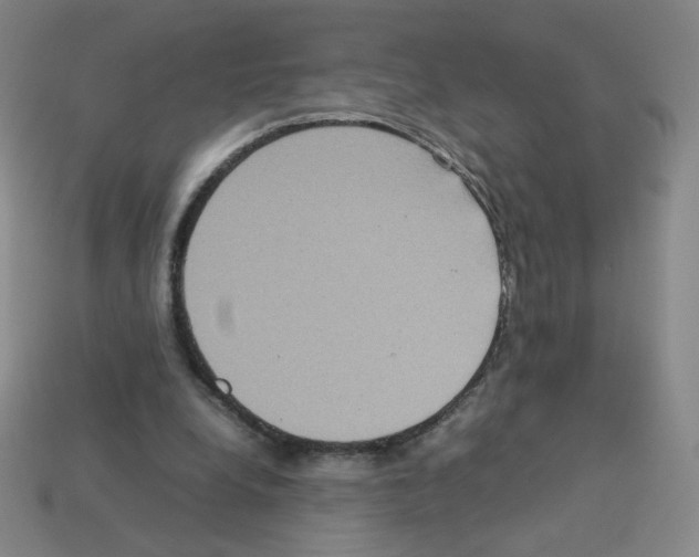 X0000112770248200910011242