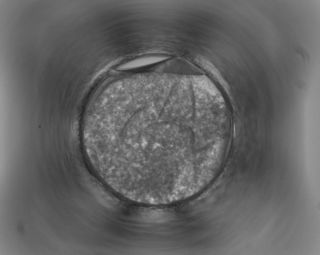 X0000112770249200910011242