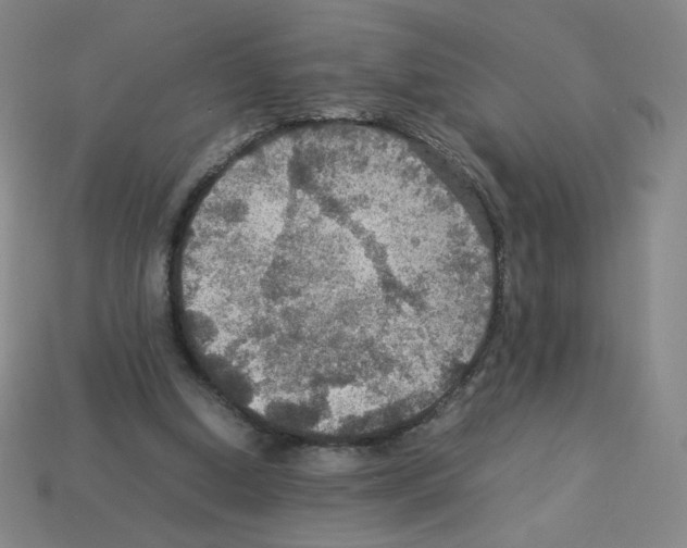 X0000112770250200910011242