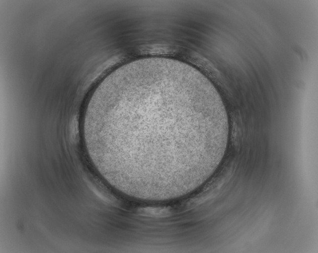 X0000112770251200910011242