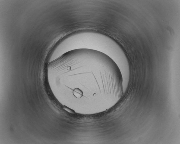 X0000112770252200910011242