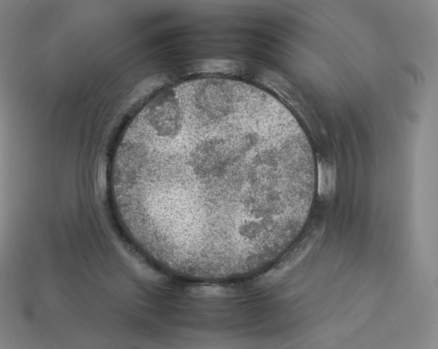 X0000112770253200910011242