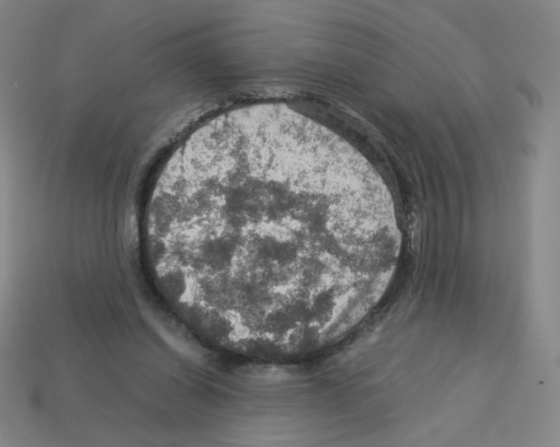 X0000112770254200910011242