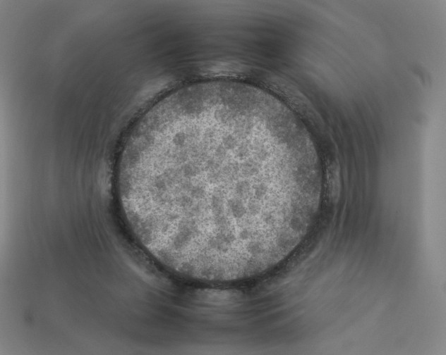 X0000112770255200910011242