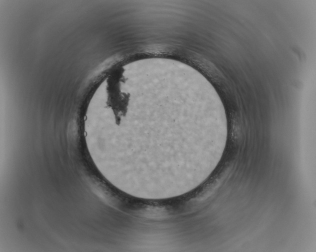 X0000112770256200910011242