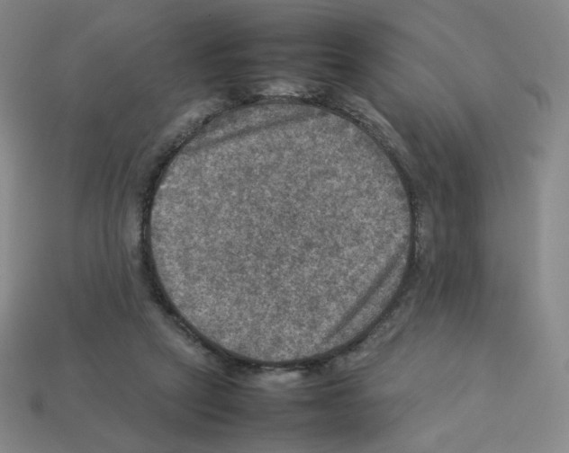 X0000112770257200910011242