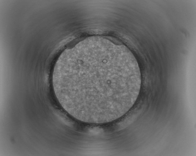 X0000112770258200910011242