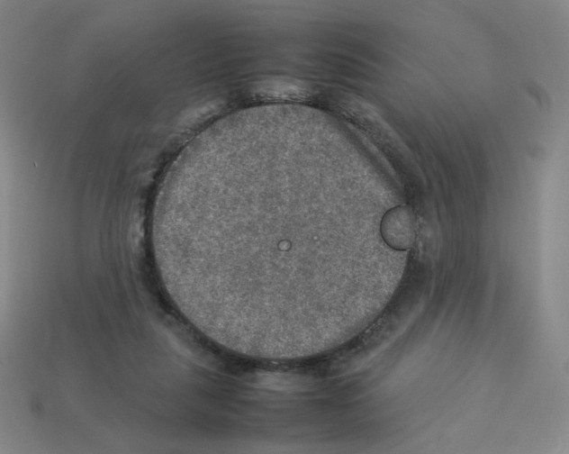 X0000112770259200910011242