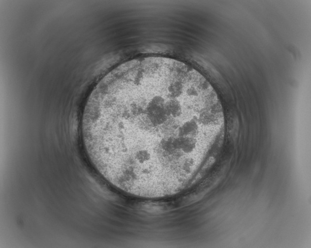 X0000112770261200910011243