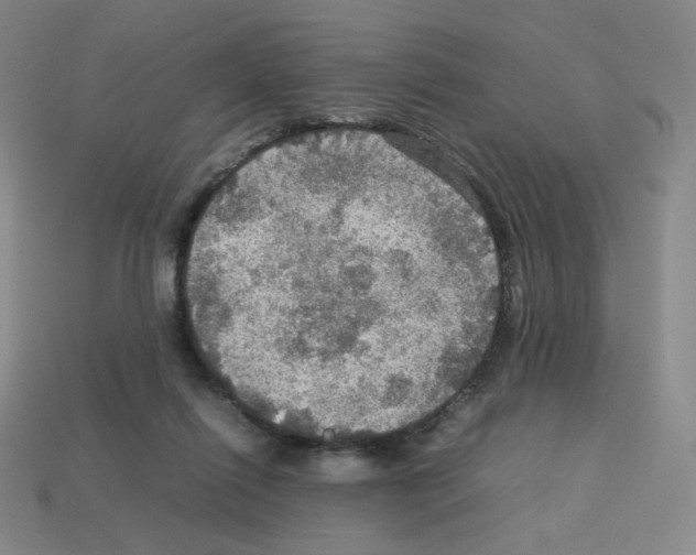 X0000112770262200910011243