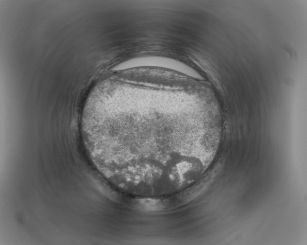 X0000112770265200910011243