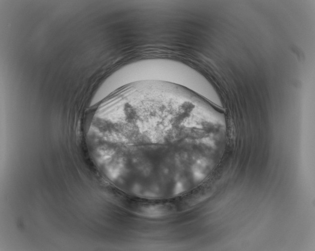 X0000112770267200910011243