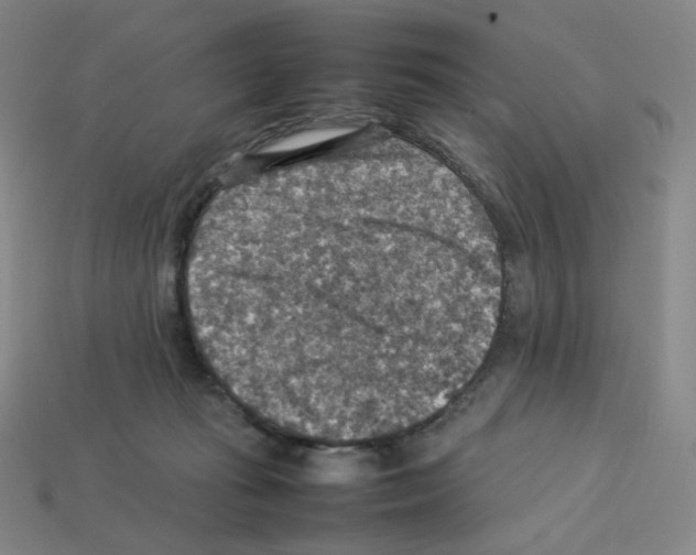 X0000112770269200910011243