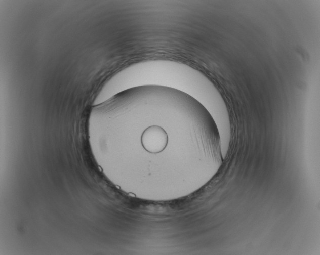 X0000112770272200910011243