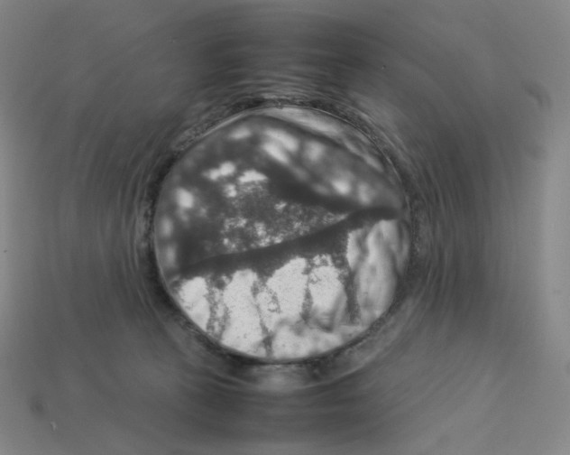 X0000112770273200910011243