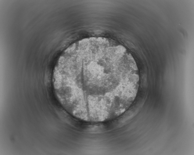 X0000112770274200910011243