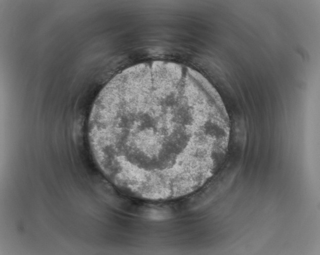 X0000112770275200910011243