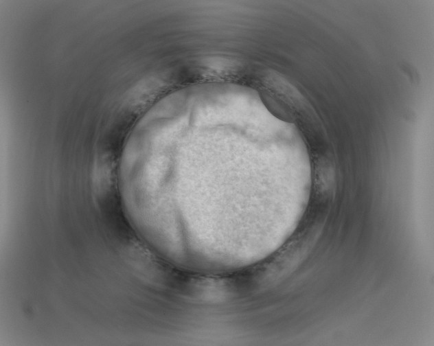 X0000112770276200910011243