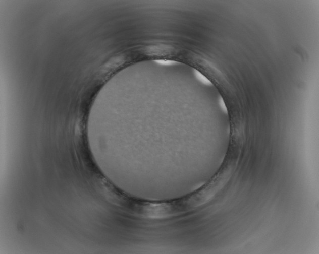 X0000112770277200910011243