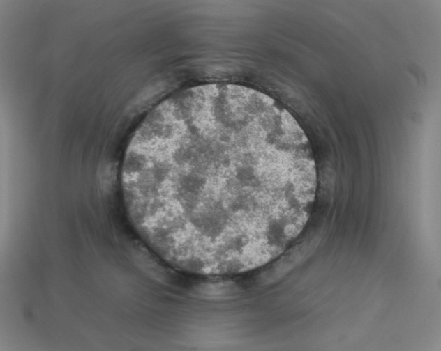 X0000112770278200910011243