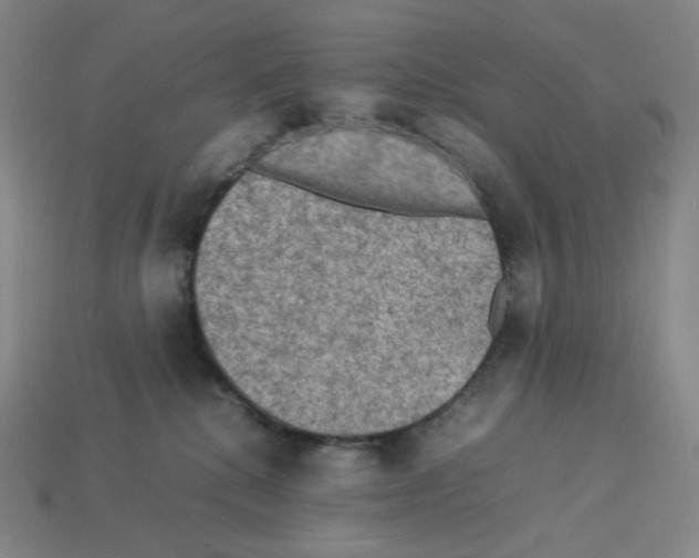 X0000112770280200910011243