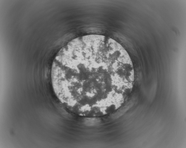 X0000112770281200910011243