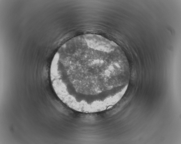 X0000112770282200910011243