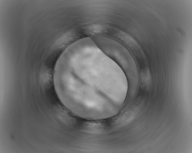 X0000112770284200910011243