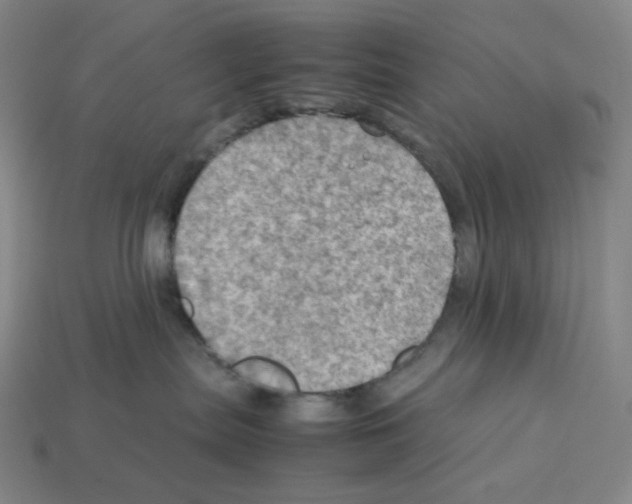 X0000112770287200910011243