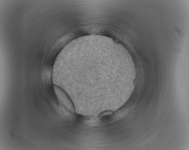 X0000112770288200910011243