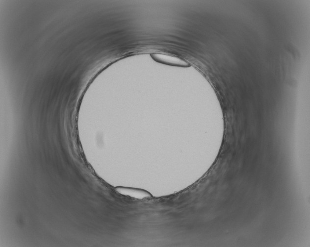 X0000112770289200910011242