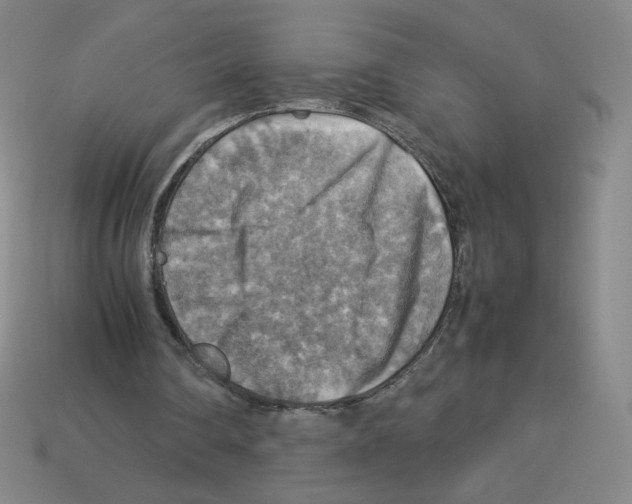 X0000112770290200910011242