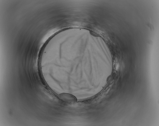 X0000112770292200910011242