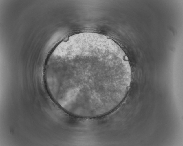 X0000112770293200910011242