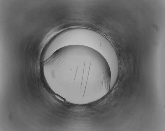 X0000112770296200910011242