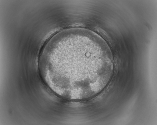 X0000112770298200910011242