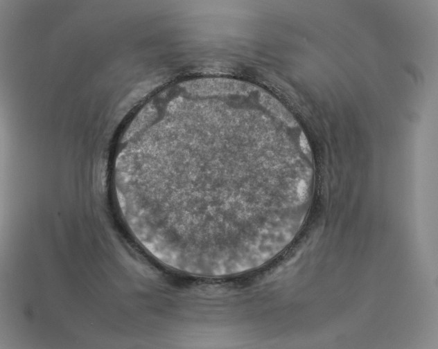 X0000112770299200910011242