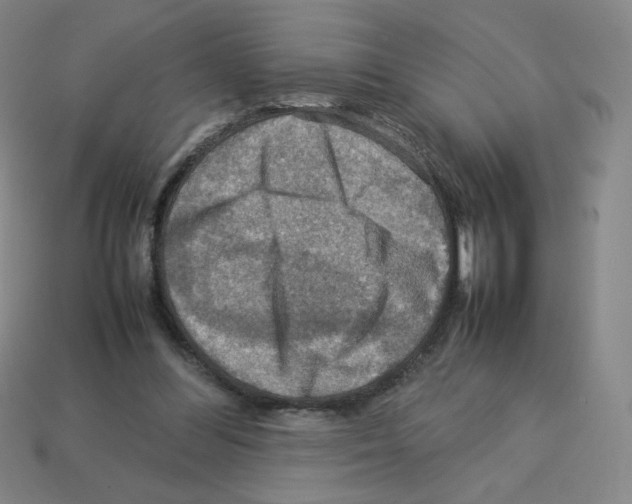 X0000112770300200910011242