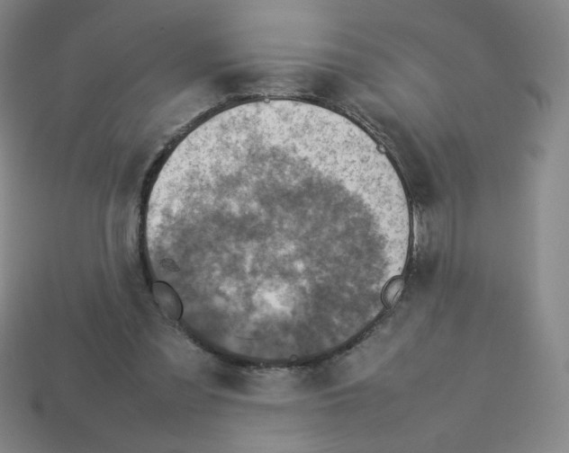 X0000112770301200910011242