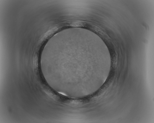 X0000112770303200910011242