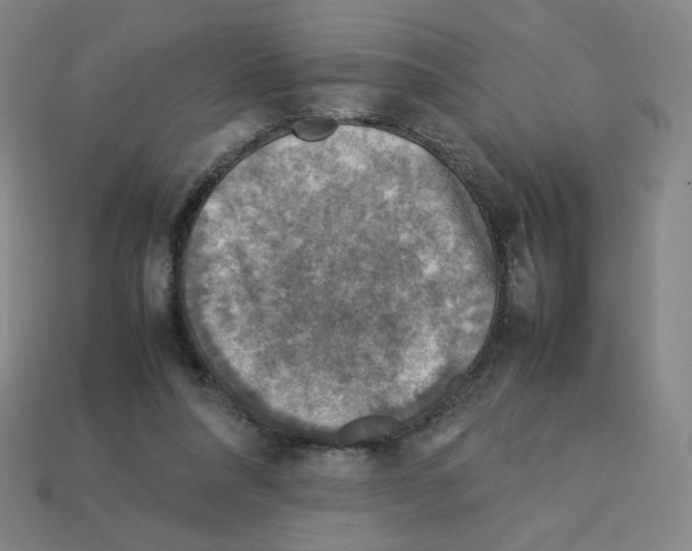 X0000112770304200910011242