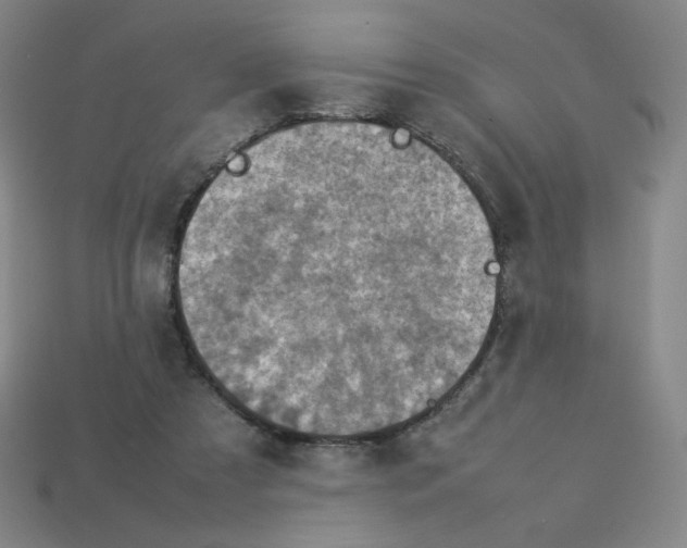 X0000112770305200910011242