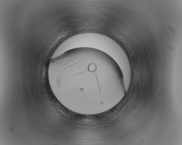 X0000112770308200910011242